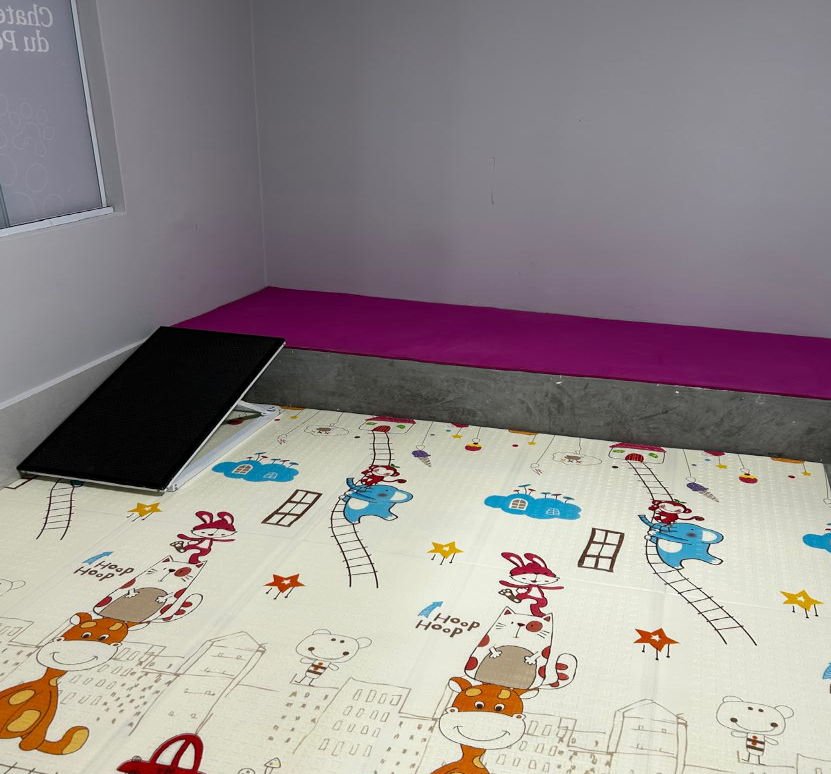 pet shop no tatuapé (8)